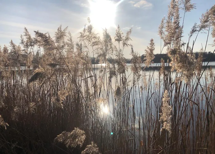 Apartment Irma Malschwitz